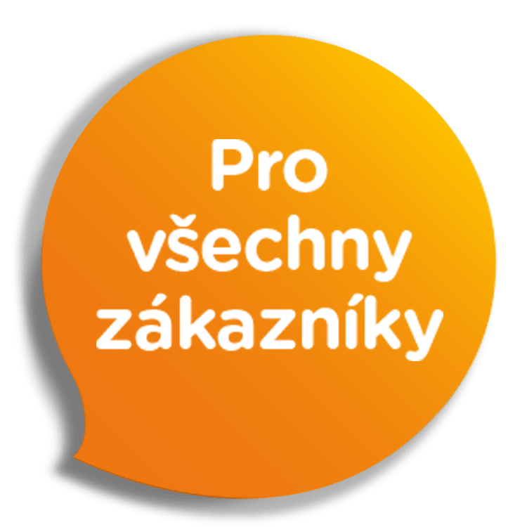 půjčka bez příjmu